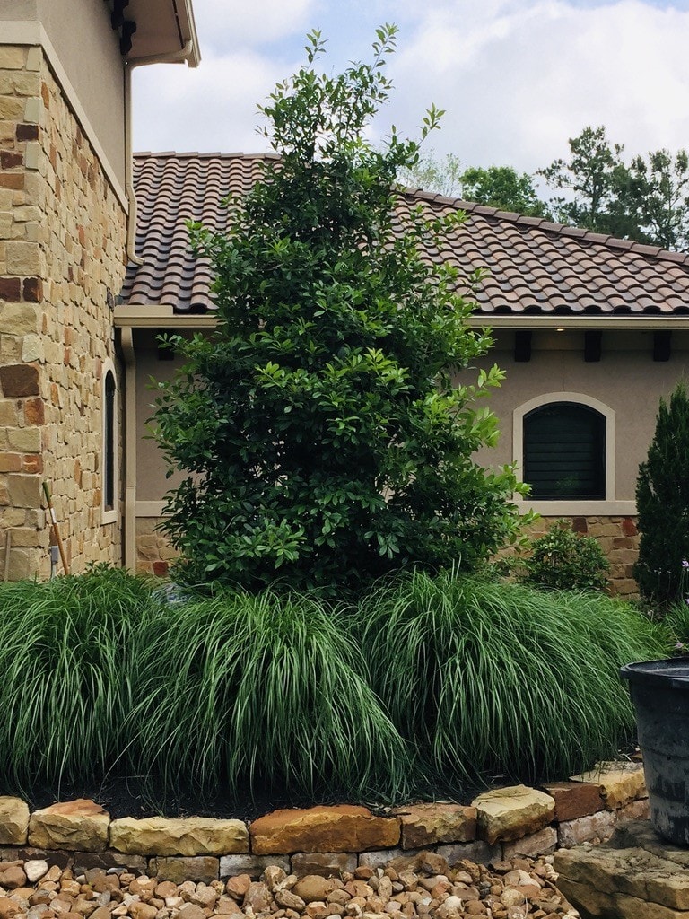 Allscape Outdoors landscaping project 2