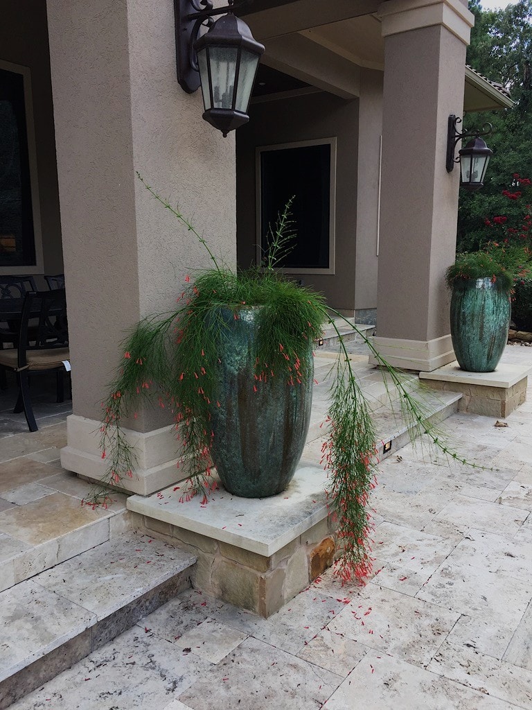 Allscape Outdoors landscaping project 7